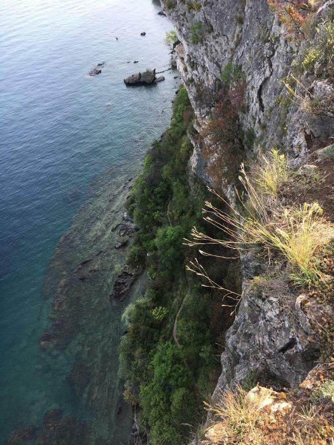 Agriturismo Holle マネルバ・デル・ガルダ エクステリア 写真