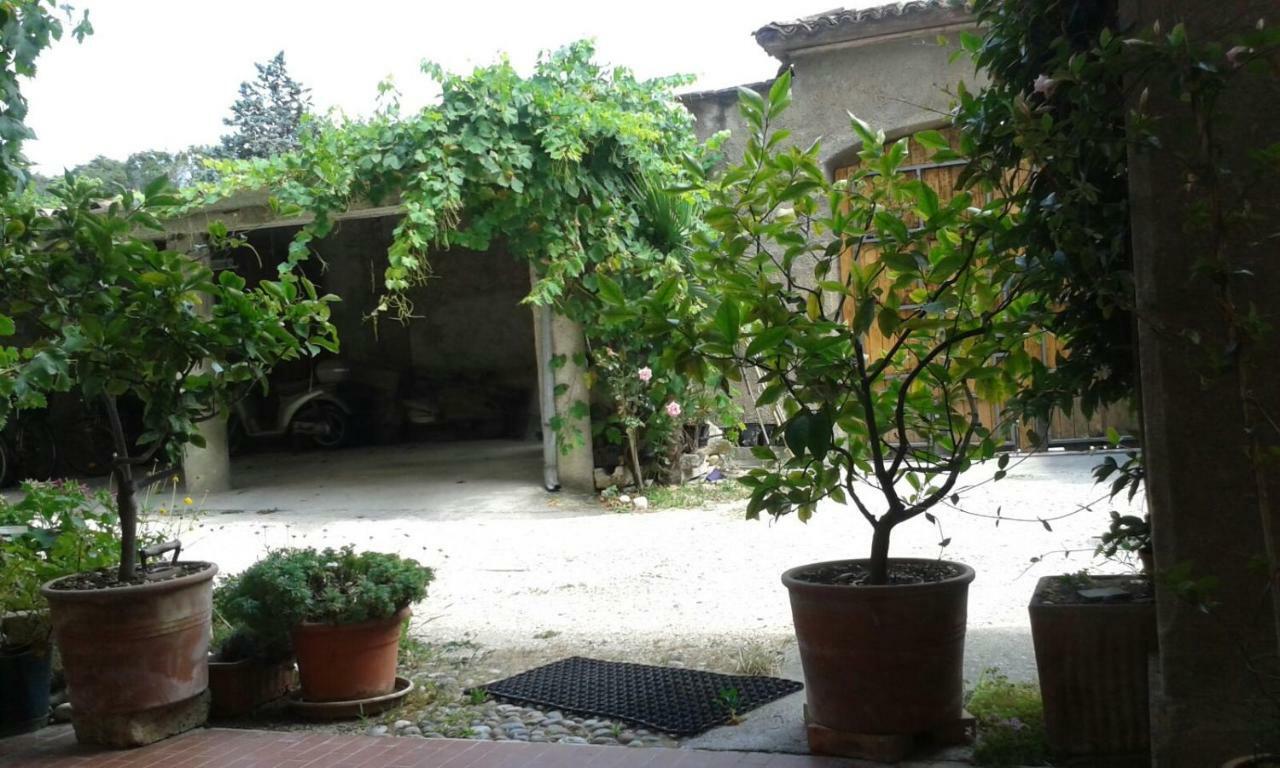 Agriturismo Holle マネルバ・デル・ガルダ エクステリア 写真