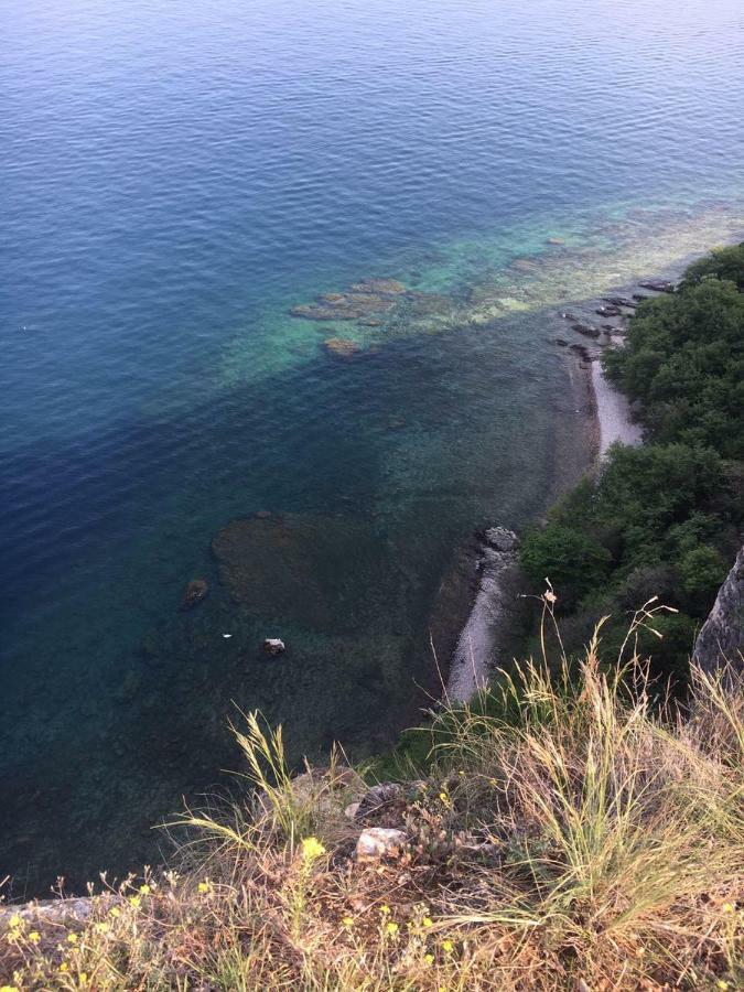 Agriturismo Holle マネルバ・デル・ガルダ エクステリア 写真